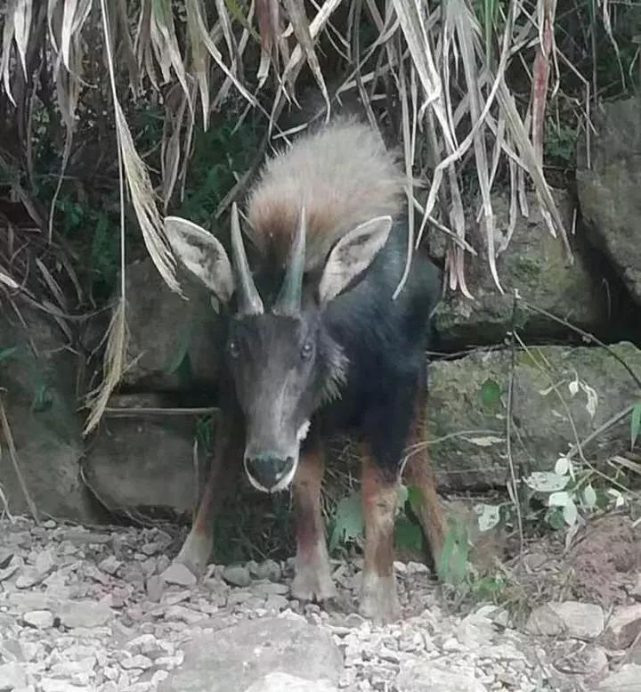 简讯 第84页